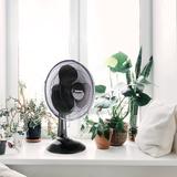 Impress 12in Oscillating Table Fan in Black, Size 10.0 H x 12.0 W x 12.0 D in | Wayfair 95083455M