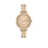 Ladies Citizen Eco-Drive Silhouette Stainless Steel Watch
