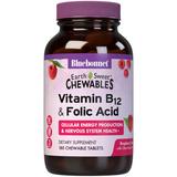 "EarthSweet Chewable Vitamin B-12 & Folic Acid, Natural Raspberry Flavor, 180 Tablets, Bluebonnet Nutrition"
