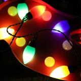Festival Depot 13.5 ft. 20-Light Standard String Light in Black, Size 13.5 W in | Wayfair CF18338