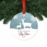 The Holiday Aisle® My First Christmas As Big Sister Deer Winter Snowflakes Ball Ornament Metal in Blue/White, Size 3.5 H x 3.5 W in | Wayfair