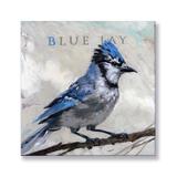 Darren Gygi Home Collection Canvases Multicolor - Blue Jay Giclee Gallery-Wrapped Canvas