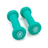 BryBelly Weights - Teal 2-Lb. Hand Weights