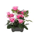National Tree Company Floral Pink - Pink Rose Potted Arrangement