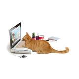 Suck UK Scratching Posts - Cat Scratching Post Laptop