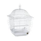 Tucker Murphy Pet™ Bressler 25" Steel Victorian Top Hanging Bird Cage w/ Perch Steel in Black, Size 25.0 H x 18.0 W x 18.0 D in | Wayfair