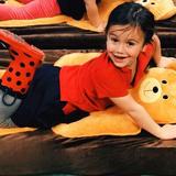 PillowSheets Bear Hugs Fitted Sheet Polyester in Brown/Yellow | Wayfair 752830436732