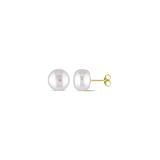 Sofia B Women's Earrings White - Cultured Pearl & 10k Gold Round Stud Earrings