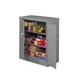 Tennsco Corp. Deluxe 2 Door Storage Cabinet Stainless Steel in Gray, Size 42.0 H x 36.0 W x 18.0 D in | Wayfair 1842-2