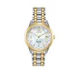 Citizen 2 Tone Stainless Steel Case World Time Watch With Mother Of Pearl Dial