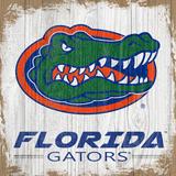 Florida Gators 6'' x Team Logo Block