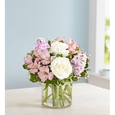 1-800-Flowers Flower Delivery Elegant Blush Bouquet Small