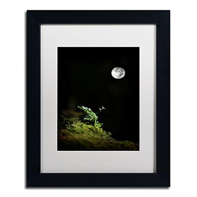 Let It Be Artwork Philippe Sainte-Laudy in White Matte and Black Frame, 11 by 14-Inch