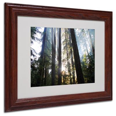 Sunrays by Pierre Leclerc Canvas Wall Artwork, Wood Frame, 11 by 14-Inch