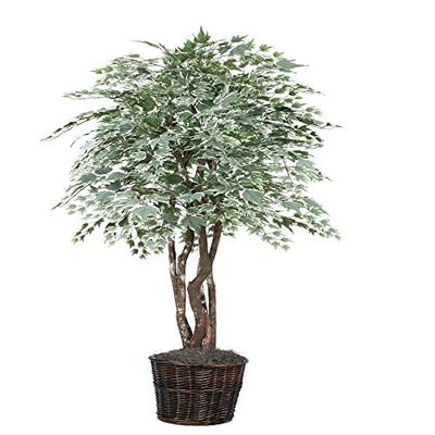 Vickerman TEX1660 Silver Maple Tree