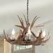 Millwood Pines Rohrbach 6 - Light Candle Style Classic/Traditional Chandelier w/ Antler Accents, Metal in Brown | Wayfair