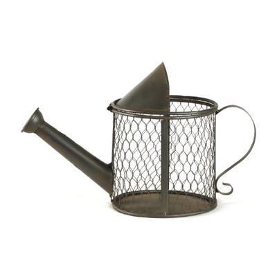 Zentique HR110696M.55 Metal Watering Can Accent Décor Distressed