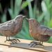 Charlton Home® 2 Piece Cordero Sparrow Figurine Set Resin, Terracotta in Brown/Gray | 2.4 H x 1.6 W x 3.9 D in | Wayfair