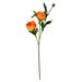 Vickerman 603505 - 16" Orange Peony Spray 6/Pk (FV190754) Home Office Flower Sprays