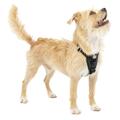 Kurgo Tru-Fit Hundegeschirr, Crash-Test-erprobtes Auto-Sicherheitsgurt, Für Hunde von 5 bis 11 kg, Größe S, Schwarz
