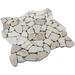 Margo Garden Products Rainforest 12" x 12" Natural Stone Pebbles Mosaic Wall & Floor Tile Natural Stone in White | 12 H x 12 W x 0.6 D in | Wayfair