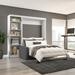 Wade Logan® Arlex Bed w/ Sofa & Shelving Unit Upholstered, Wood in Gray/White | 89.1 H x 64.6 W x 95.5 D in | Wayfair