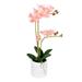 Vickerman 604977 - 21" Pink Phalaenopsis In Pot (FN190302) Home Office Flowers in Pots Vases and Bowls
