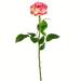 Vickerman 607183 - 26" Light Pink Rose Stem Pk/6 (FA191379) Home Office Flowers with Stems
