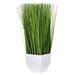 Vickerman 603352 - 22.5" Green Potted Grass (FV190222) Home Office Bushes