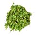 Vickerman 606056 - 4'' Green Mini Leaves Ball 4/Pk (FS190908) Home Office Topiaries