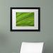 Trademark Fine Art "Green Elephant Ear Abstract" by Kurt Shaffer Framed Photographic Print Canvas | 16 H x 20 W x 0.5 D in | Wayfair KS0162-B1620MF