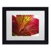 Trademark Fine Art Red Tiger Ostramerium Flower by Kurt Shaffer Framed Photographic Print Canvas | 11 H x 14 W x 0.5 D in | Wayfair KS0157-B1114MF