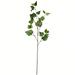 Vickerman 606650 - 32" Green Ivy Spray 3/Pk (FV195932) Home Office Picks and Sprays