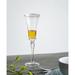 Willa Arlo™ Interiors Zeigler Glass Flute Glass | 9.8 H x 3 W in | Wayfair 186468DEC8B9405E92B01030824DA40D