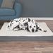 Orthopedic Memory Foam Dog Bed, 44" L X 35" W X 4.75" H, Gray, X-Large