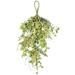 Vickerman 608173 - 24" Green Fern Berry Eucalyptus Teardrop (FT191507) Home Office Picks and Sprays