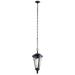 Kichler Lighting Cresleigh 21 Inch Tall 1 Light Outdoor Hanging Lantern - 49236BSL