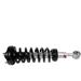 2004-2008 Ford F150 Front Strut Assembly - Rancho RS999909