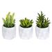 Vickerman 609798 - 6" Potted Succulent (Set/3 Asst) (FH191506) Home Office Succulents