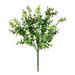 Vickerman 610060 - 14.5" Light Green Money Leaf Bush Pk/2 (FI190501) Home Office Picks and Sprays