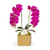 T&C Floral Company Orchid in Planter, Ceramic | 21 H x 10 W x 9 D in | Wayfair F1814GF