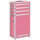 vidaXL Make-up Trolley Aluminium Pink