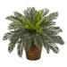 Bay Isle Home™ 9" Artificial Palm Plant in Basket Silk | 15 H x 13 W x 13 D in | Wayfair 4086EA4FCE014FD6A415FF64637D08C9