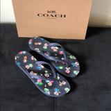 Coach Shoes | Coach Flip Flops | Color: Blue/Purple | Size: 10