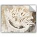 Highland Dunes Sea Treasure I Removable Wall Decal Vinyl in Brown | 18 H x 24 W in | Wayfair 6orl304a1824p