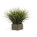 Charlton Home® Tall Table Top Grass in Square Wooden Planter Wood/Plastic in Brown | 24 H x 14 W x 14 D in | Wayfair