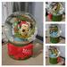 Disney Holiday | Mini Disney Christmas Snowglobes Nib | Color: Green/Red | Size: Os