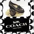 Coach Shoes | Coach Palmer Flint Gray Sand Snake Leather Loafers | Color: Gray | Size: 5.5