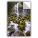 East Urban Home Proxy Falls Oregon 5 Removable Wall Decal Vinyl in Brown/Green/White | 16 H x 24 W in | Wayfair 0yor122a1624p
