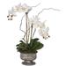 Orren Ellis Real Touch Phalaenopsis Orchids Floral Arrangement in Pot Silk/Plastic | 22 H x 14 W x 10 D in | Wayfair